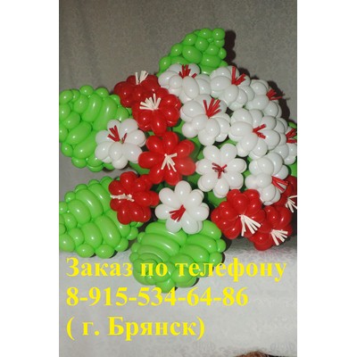 2/kompasition506