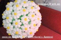 dscn16919