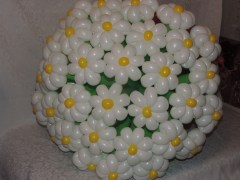 dscn3853