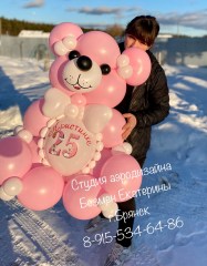 мишка-брянск-шары-брянск