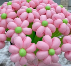 ромашки-из-шаров-брянск8