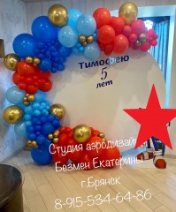 фотозона-соник-брянск-фотозона-брянск-безмен-екатерина6