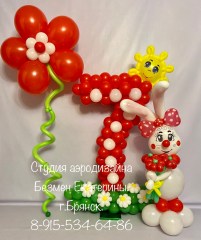 шары-с-доставкой-брянск6